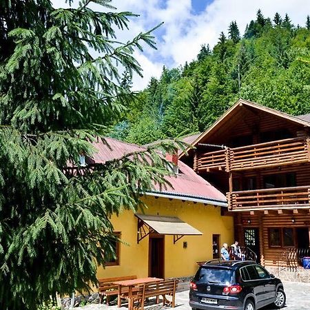 Cabana Bradul Rodna Bagian luar foto