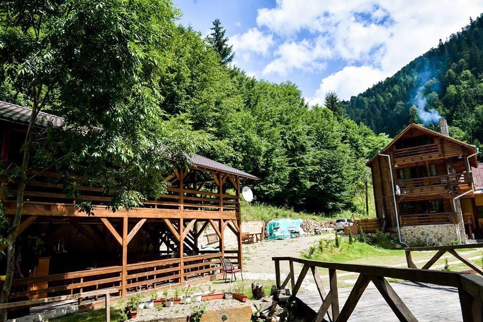 Cabana Bradul Rodna Bagian luar foto